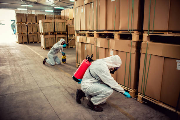 Professional Pest Control in Cassopolis, MI