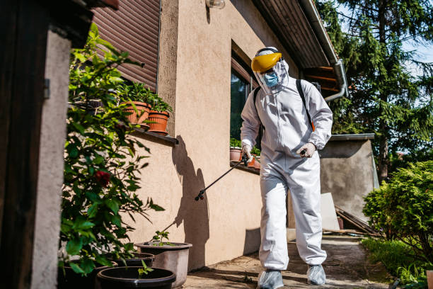 Best Emergency Pest Control  in Cassopolis, MI
