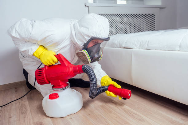 Best Affordable Pest Control Services  in Cassopolis, MI