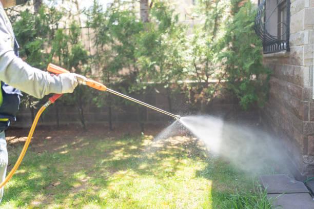 Best Pest Inspection Near Me  in Cassopolis, MI