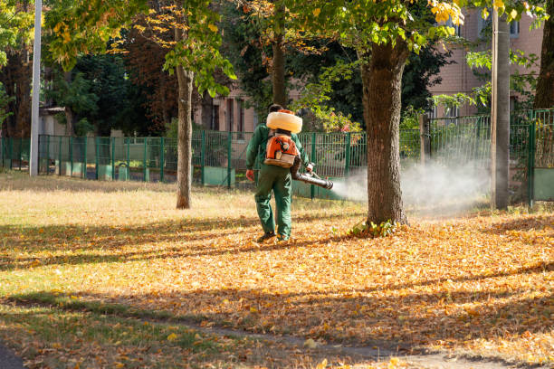 Pest Control for Restaurants in Cassopolis, MI