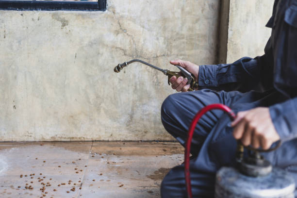 Best Best Pest Control Companies  in Cassopolis, MI